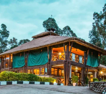Family Friendly Gorilla Safari Lodges 360x320