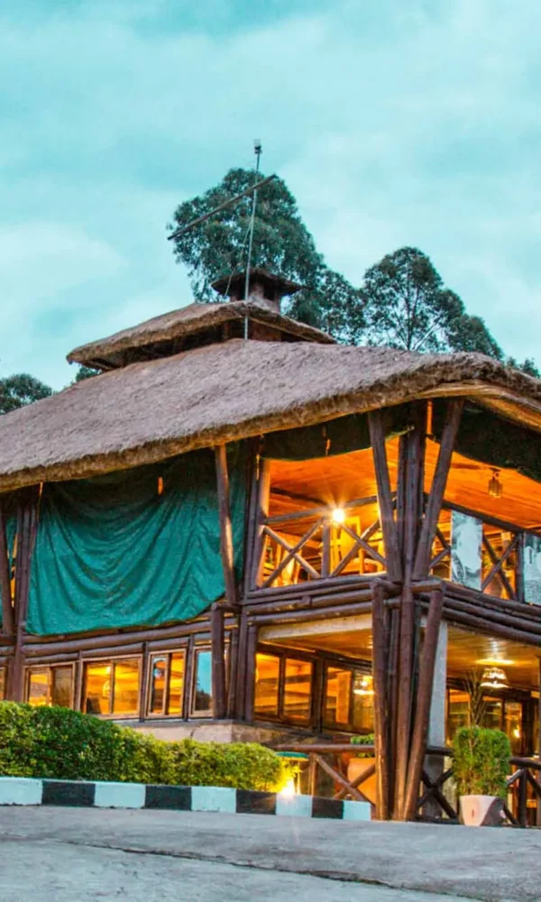 Family Friendly Gorilla Safari Lodges 600x1000