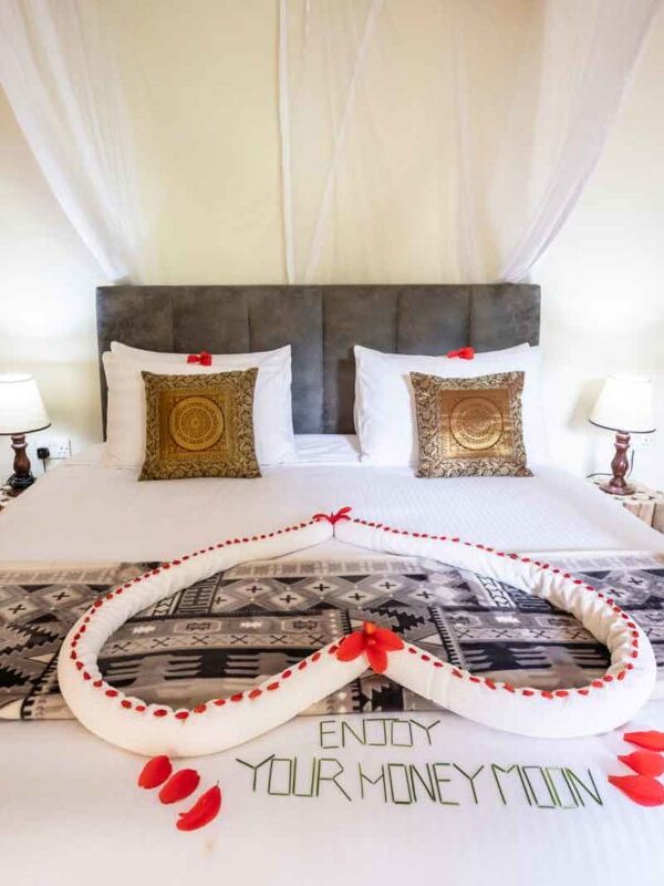 Gorilla Safari Honeymoon Lodges 600x800