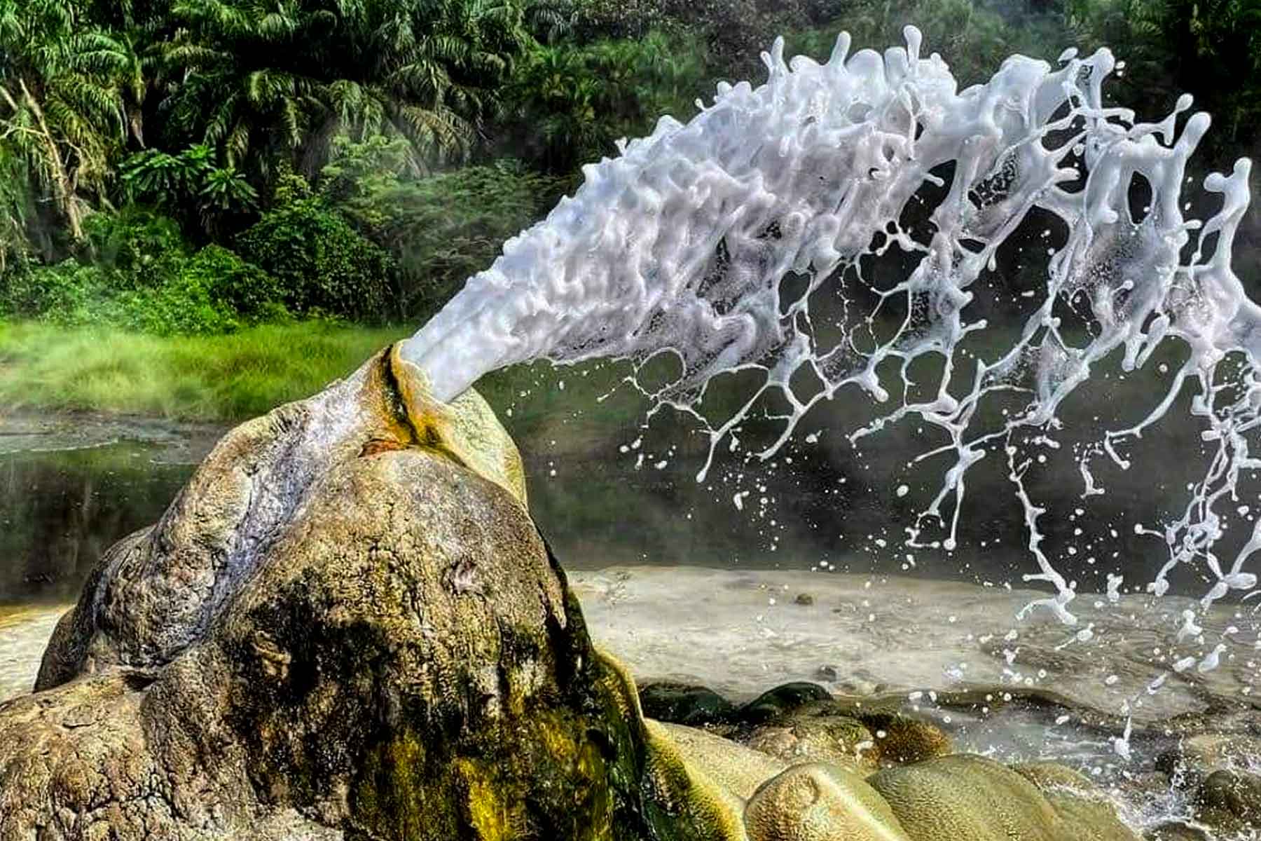Hot Springs of Semuliki