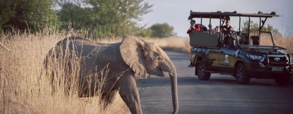 How to Get from Nairobi to Arusha
