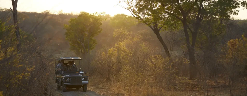 Kenya Sunset Game Drive2