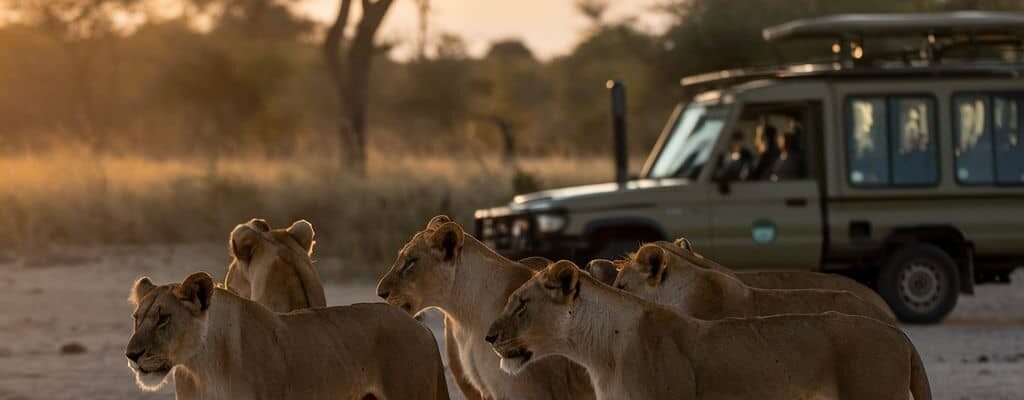Kenya’s Big Five2 Kenya’s Big Five2