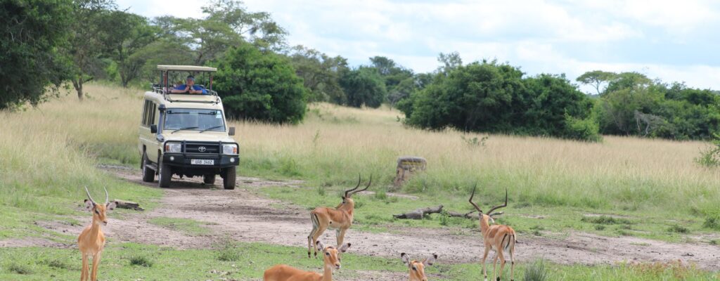 LAKE MBURO NATIONAL PARK11 LAKE MBURO NATIONAL PARK11