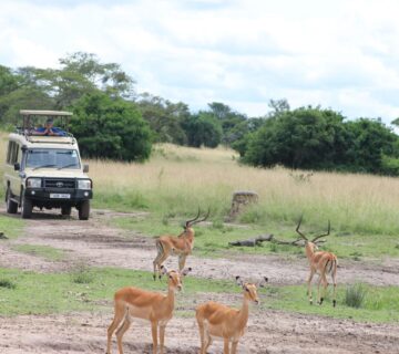 LAKE MBURO NATIONAL PARK11 360x320