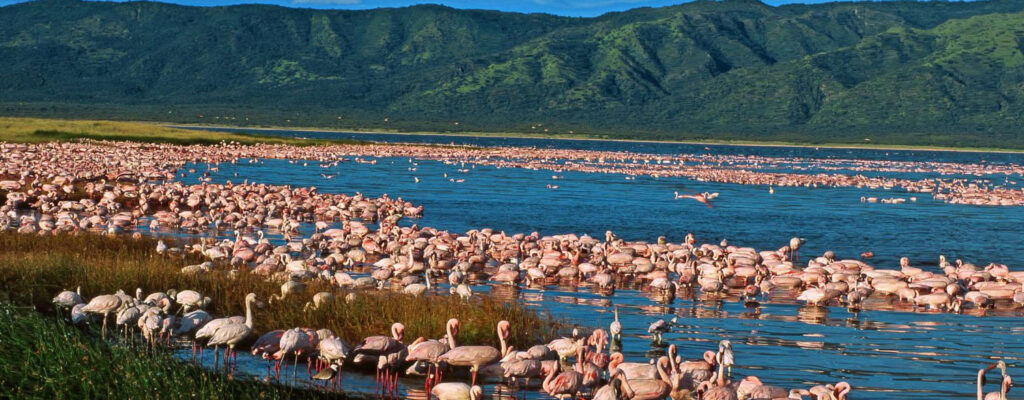 LAKE NAKURU NATIONAL PARK