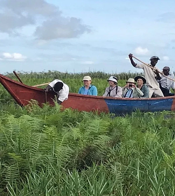 Mabamba Bay Wetland 600x675