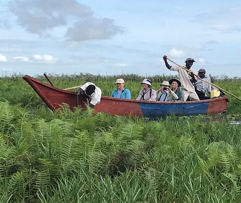 Mabamba Bay Wetland Mabamba Bay Wetland