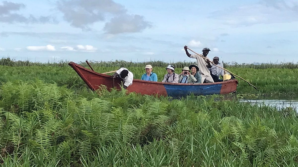 Mabamba Bay Wetland