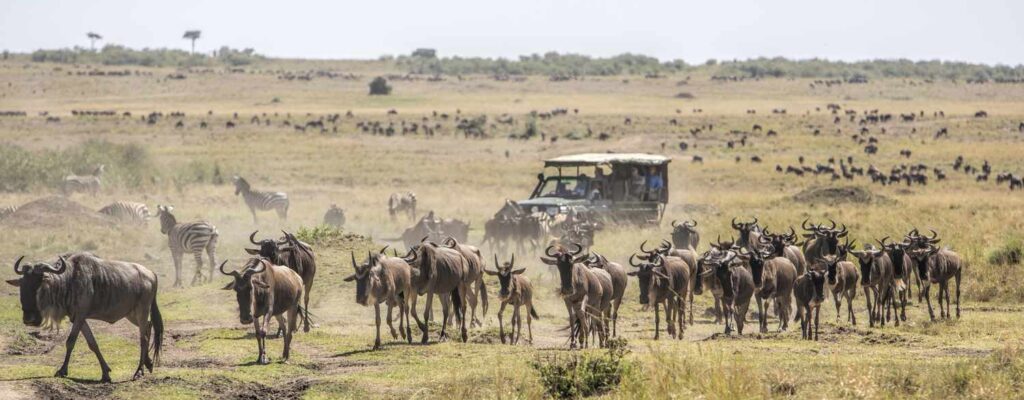 Masai Mara National Reserve2 Masai Mara National Reserve2