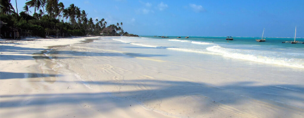 Pemba Island vs Zanzibar2