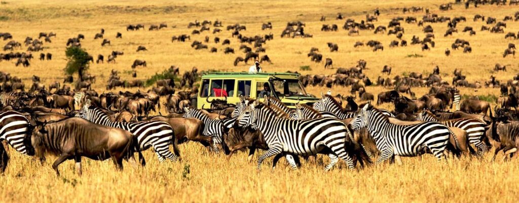 Serengeti Northern Circuit vs Southern Circuit3