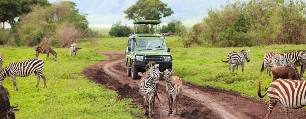 Tanzania Group Safari2
