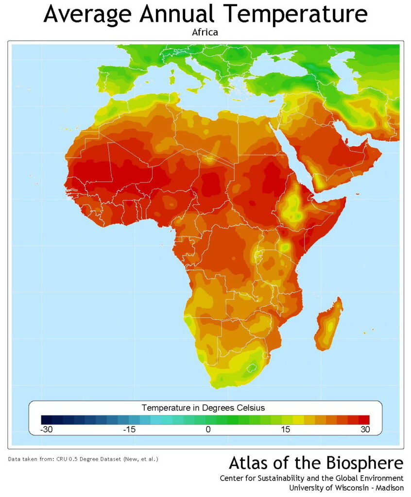 How Trees Regulate Temperature in African Cities