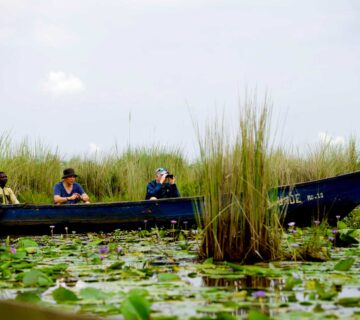 Mabamba swamp bay 360x320