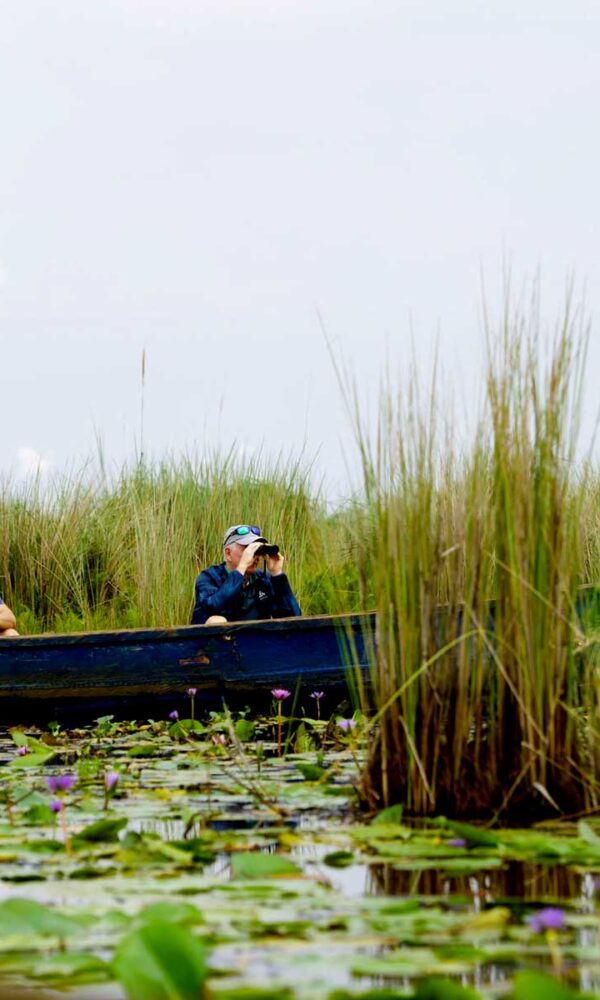 Mabamba swamp bay 600x1000