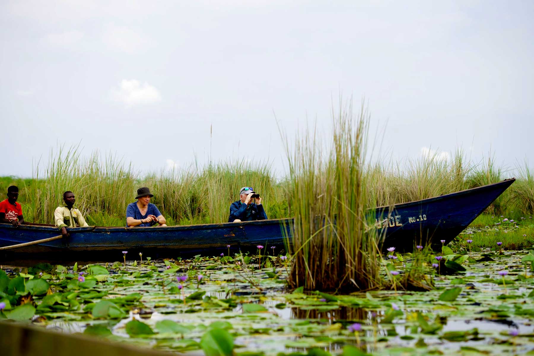 Mabamba swamp bay