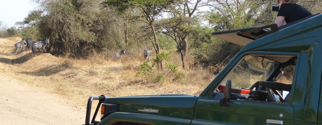 safaris land cruiser safaris land cruiser