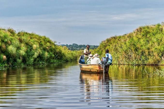 Canoe gliding through Mabamba Swamp as photographer captures majestic shoebill at sunrise peacefully.