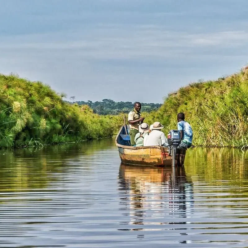 uganda`s-hidden-shoebill-swamps Off the Beaten Path: Uganda's Hidden Shoebill Swamps