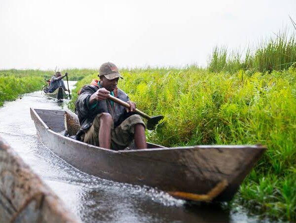 What Losing Mabamba Swamp Would Mean for the Shoebill
