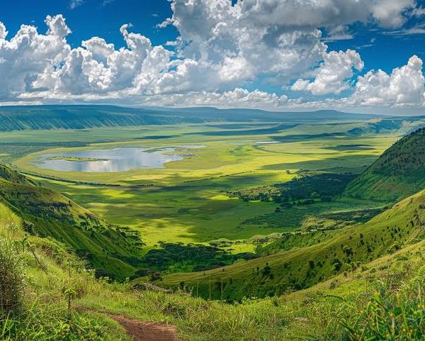 Areas of East Africa: A Birders Guide to National Parks