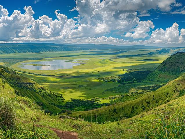 Areas of East Africa: A Birders Guide to National Parks