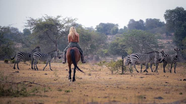 Why Hiring a Local Guide Matters for Budget Safaris in the Ishasha Sector and Wildlife Experiences