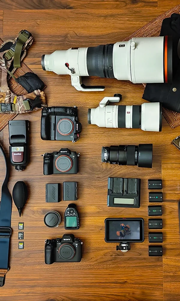 Camera Gear for Rainforest Birding: A Buyers Guide