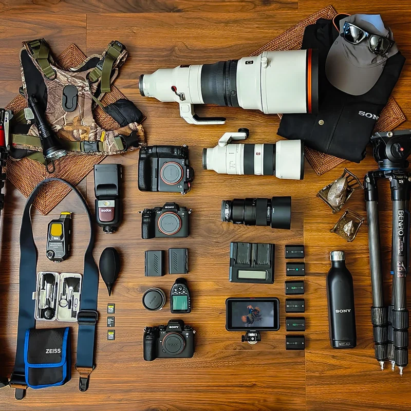 Camera Gear for Rainforest Birding: A Buyers Guide