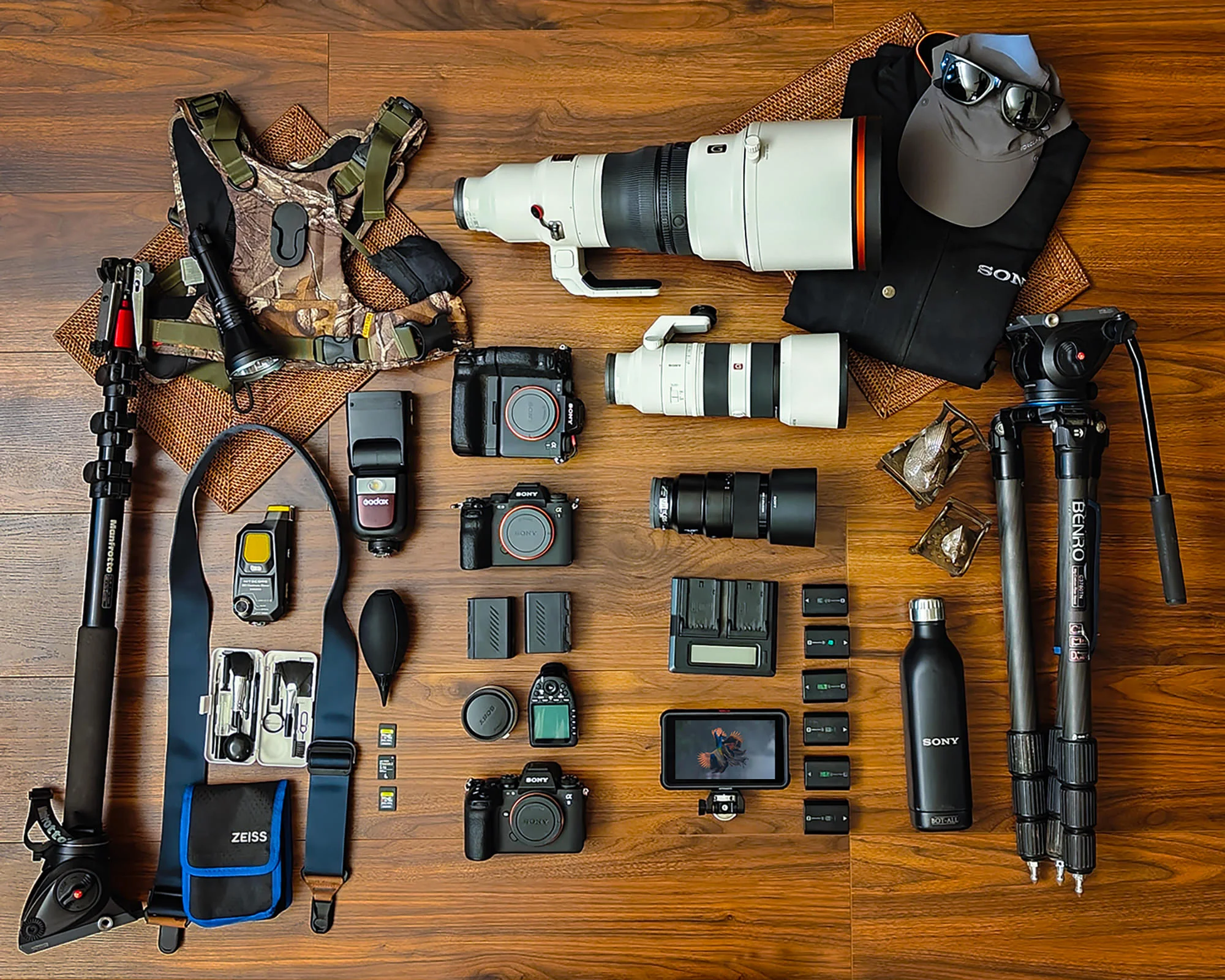Camera Gear for Rainforest Birding: A Buyers Guide