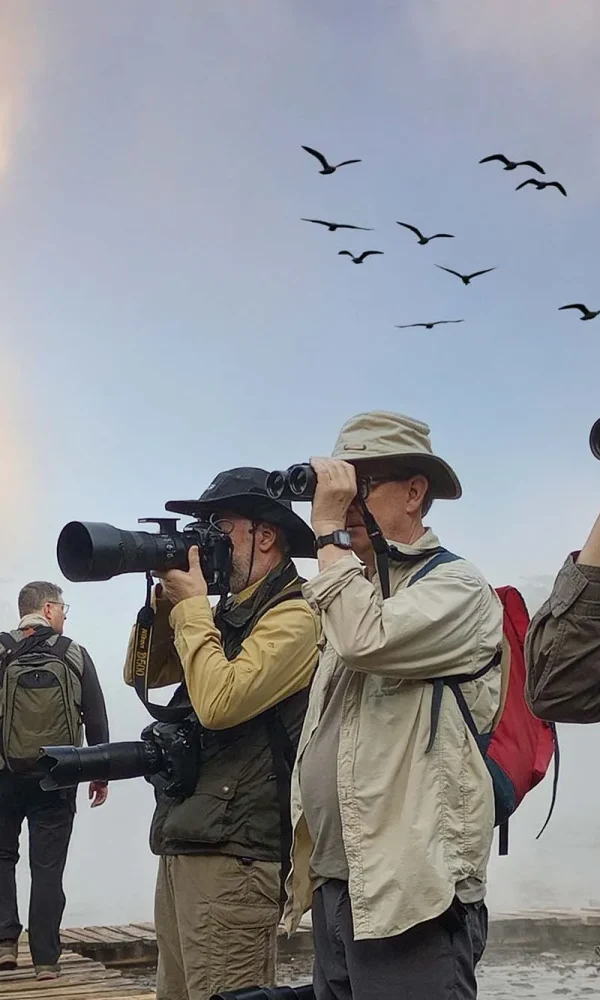 Choosing Between a Group Tour and a Private Birding Safari