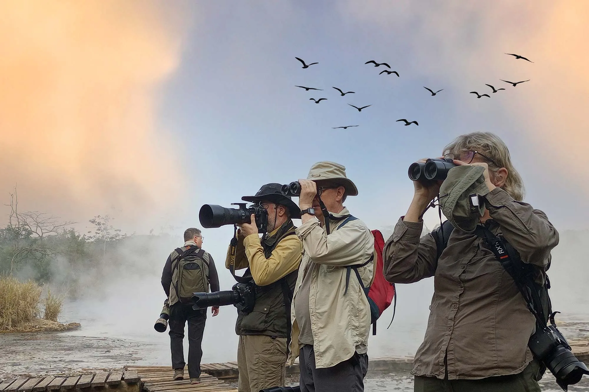 Choosing Between a Group Tour and a Private Birding Safari