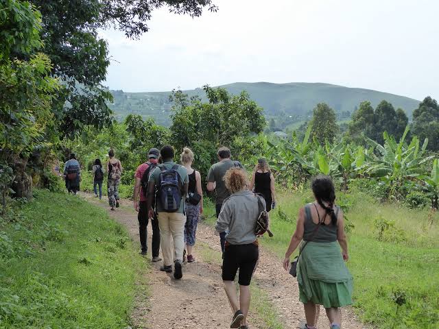 Group safari travelers enjoying birding together while exploring diverse wildlife habitats in Africa