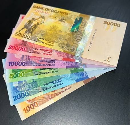 Currency and Money Tips for Visiting the Rushaga Sector in Uganda