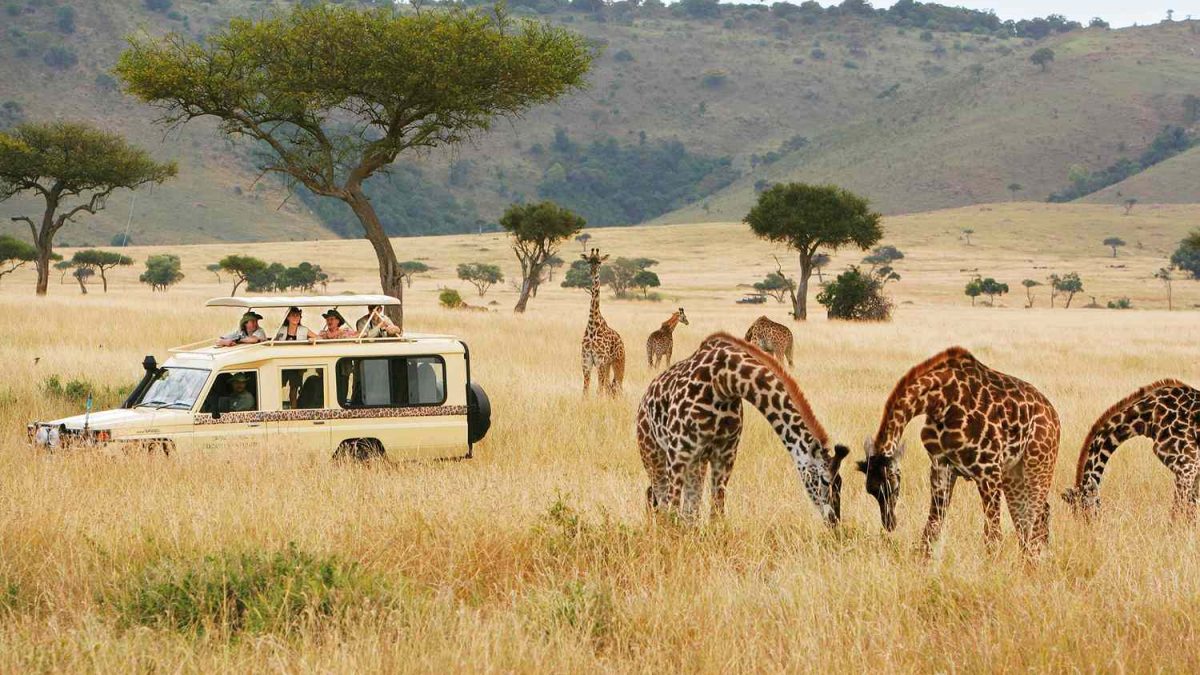 Family enjoying a birding safari together across Kenya's scenic wildlife landscapes.
