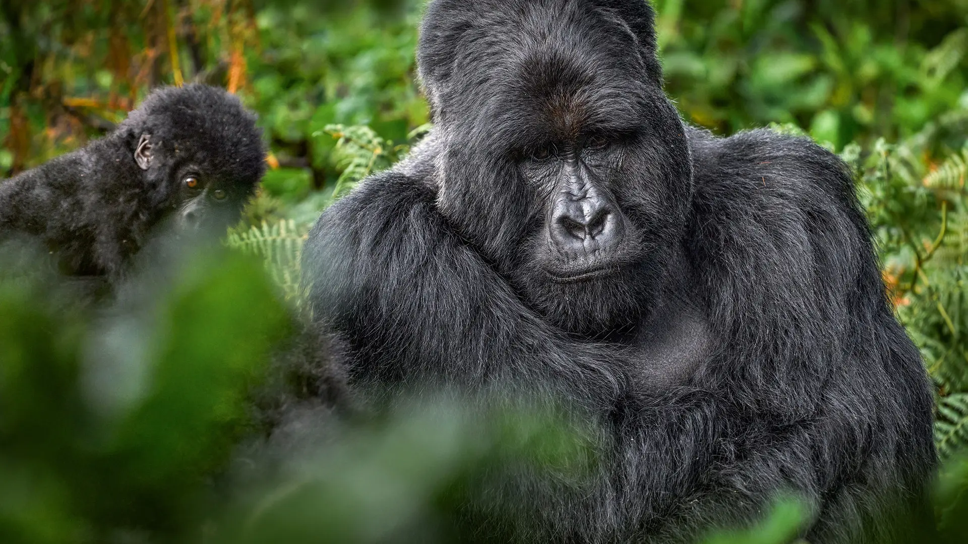 How to Avoid Jet Lag on the Way to Mgahinga Gorilla National Park for a comfortable Uganda adventure.