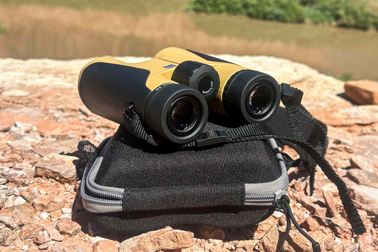 Birder using binoculars to observe colorful African birds across a scenic safari landscape.
