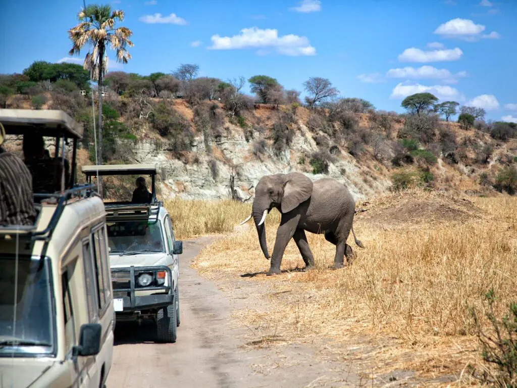 Luxury Birding Escape: 8 Days Through Rwanda and Tanzania featuring birds, wildlife, forests, and savanna landscapes.