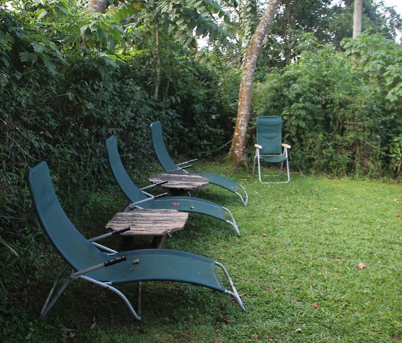 Luxury Gorilla Trekking Lodges in Bwindi