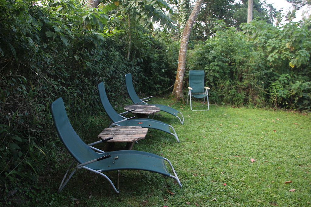 Luxury Gorilla Trekking Lodges in Bwindi