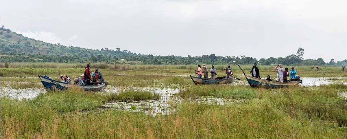 Shoebill standing beside traditional canoe in Mabamba wetland during peaceful morning birdwatching excursion.