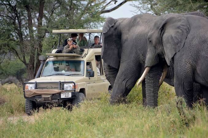 Tanzanias Northern Circuit2