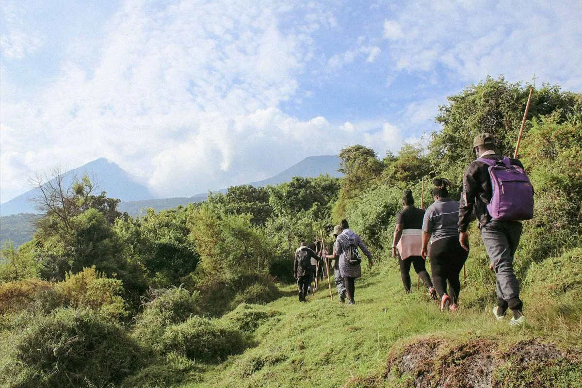 Traveling to the Buhoma Sector in the Rainy Season: Pros and Cons for gorilla trekking and forest adventures