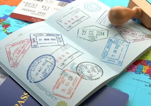 Visa and Border Requirements for Birding Across East Africa