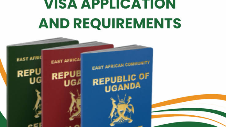 Travelers checking visa and border requirements before a birding trip across borders