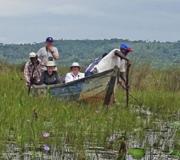 Wetland Conservation in Uganda: Saving Mabamba Swamp