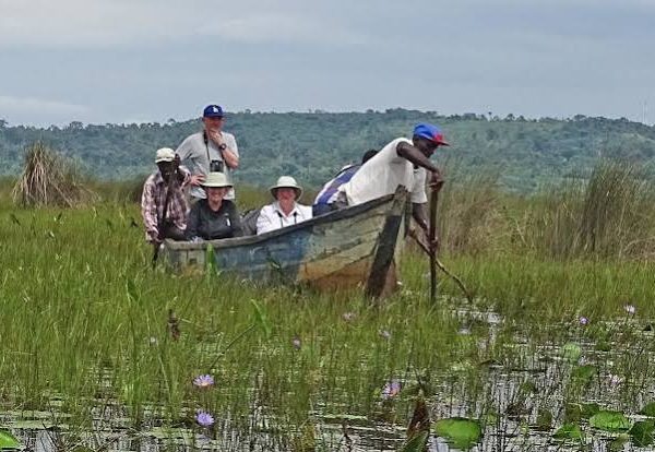 Wetland Conservation in Uganda: Saving Mabamba Swamp