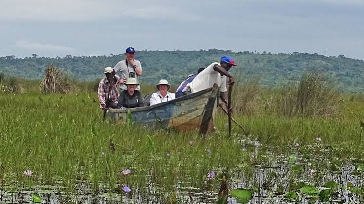 Wetland Conservation in Uganda Saving Mabamba Swamp Wetland Conservation in Uganda: Saving Mabamba Swamp