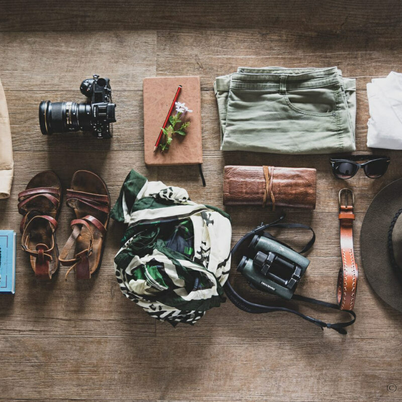 What to Pack for a Shoebill Swamp Excursion